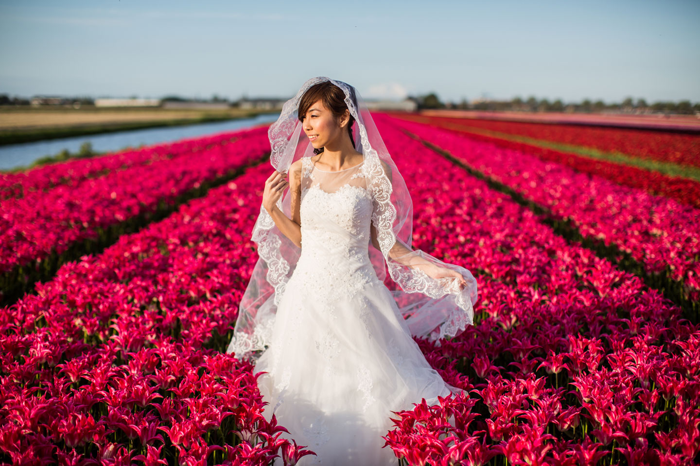 Prewedding Amsterdam