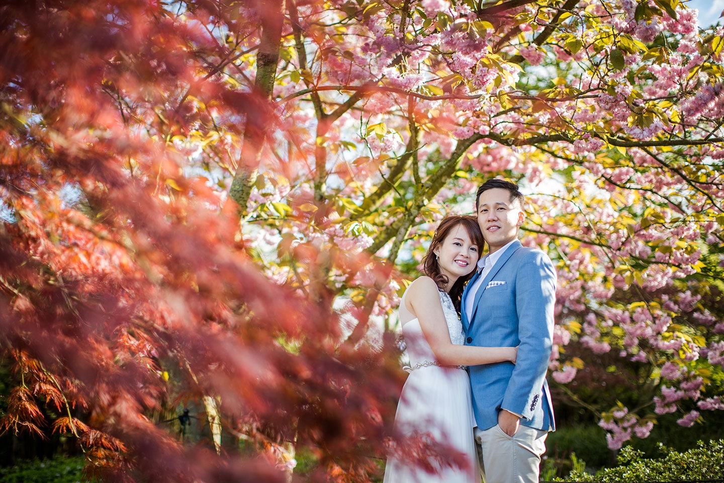 Tulip Fields Prewedding Shoot