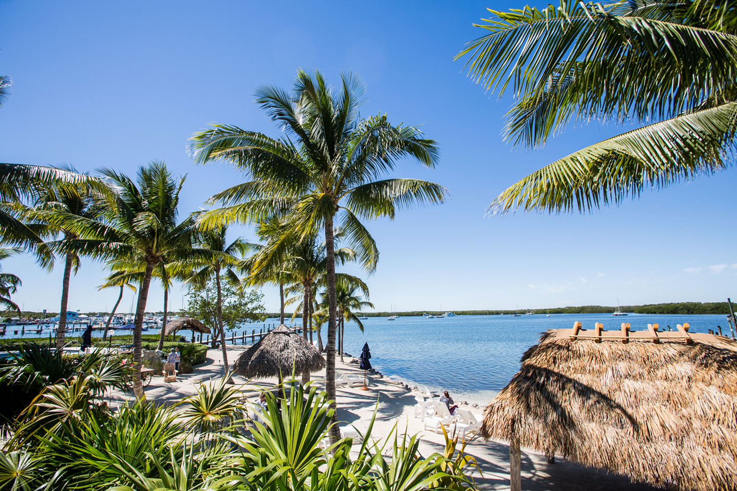 Coconut Palm Inn Wedding Photography