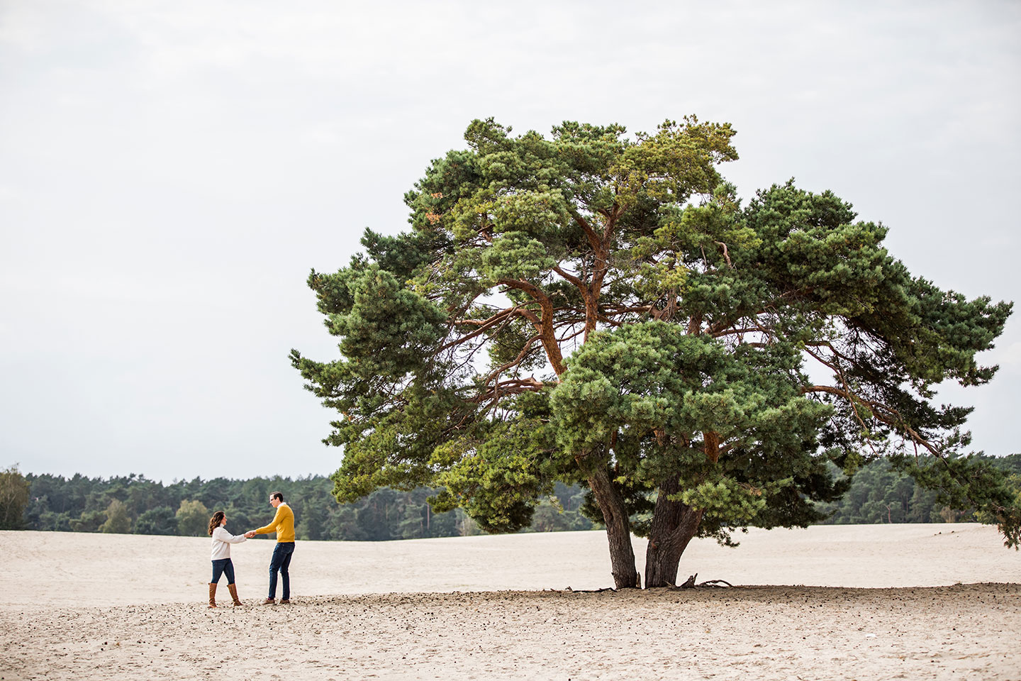 Fotoshoot in de Soesterduinen bij Utrecht