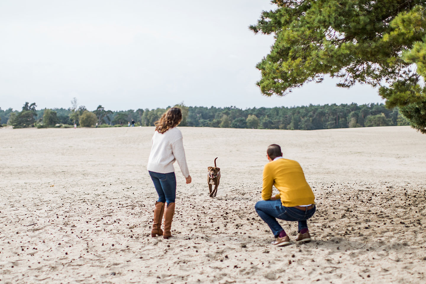 Fotografie Soesterduinen Utrecht