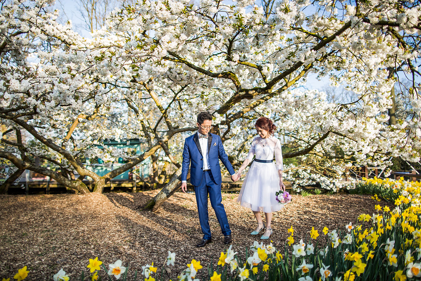 Tulip park Netherlands prewedding