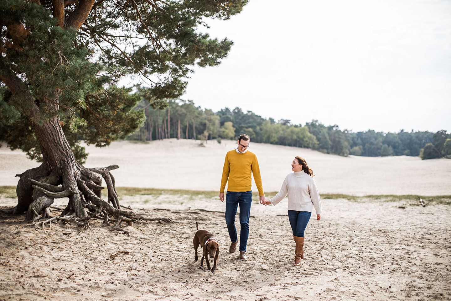 Fotoreportage bij de Soesterduinen