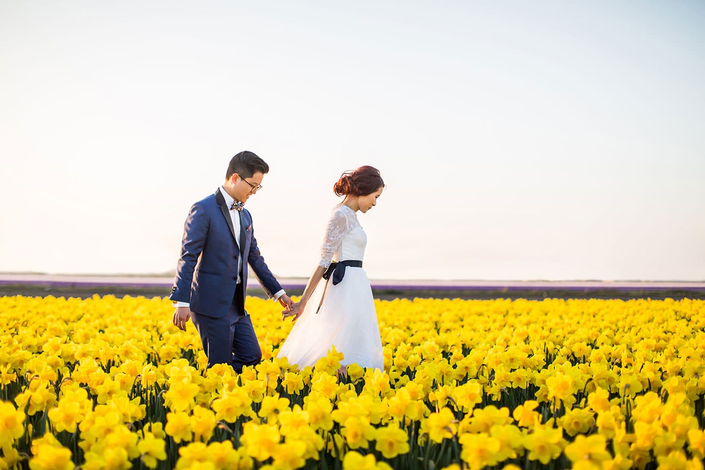 Yellow flower fields prewedding Netherlands