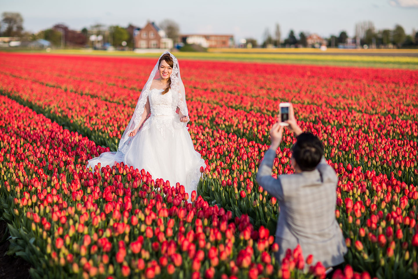 Prewedding photoshooting in the tulip fields of the Netherlands
