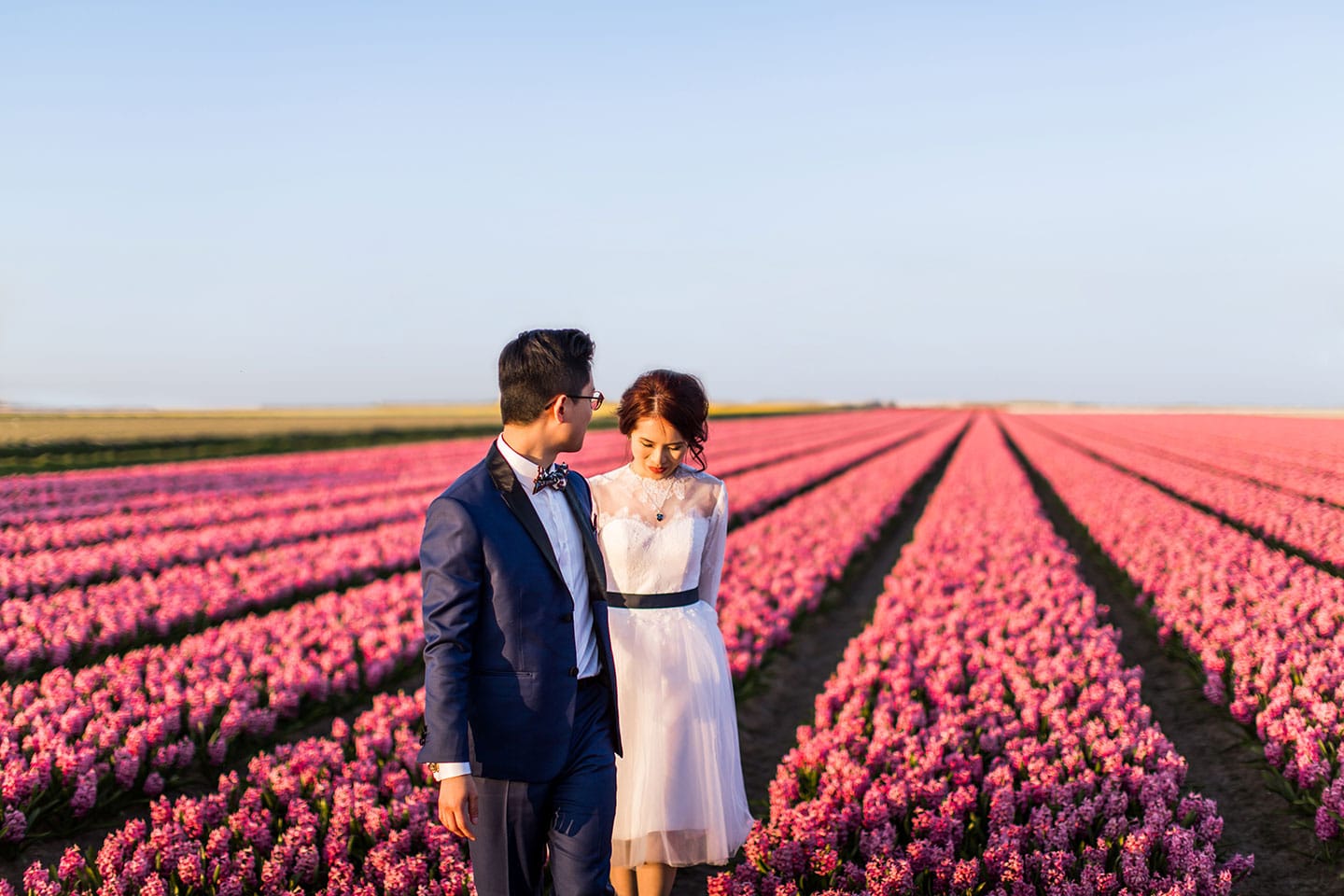 Tulip field pre wedding photography