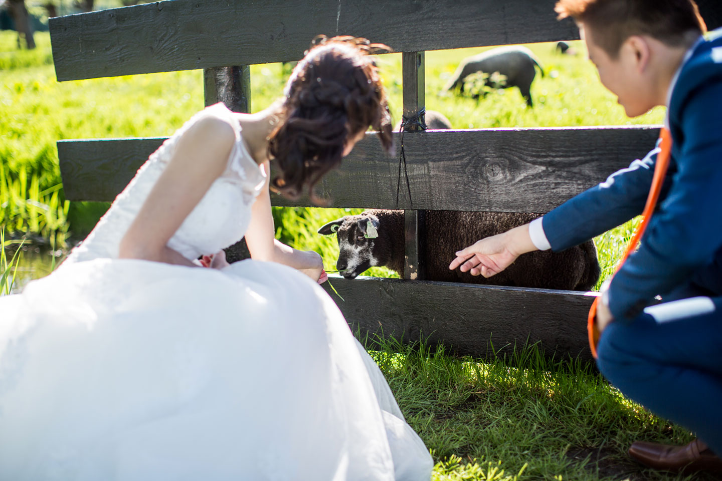 18-pre-wedding-photoshoot-Zaanse-Schans
