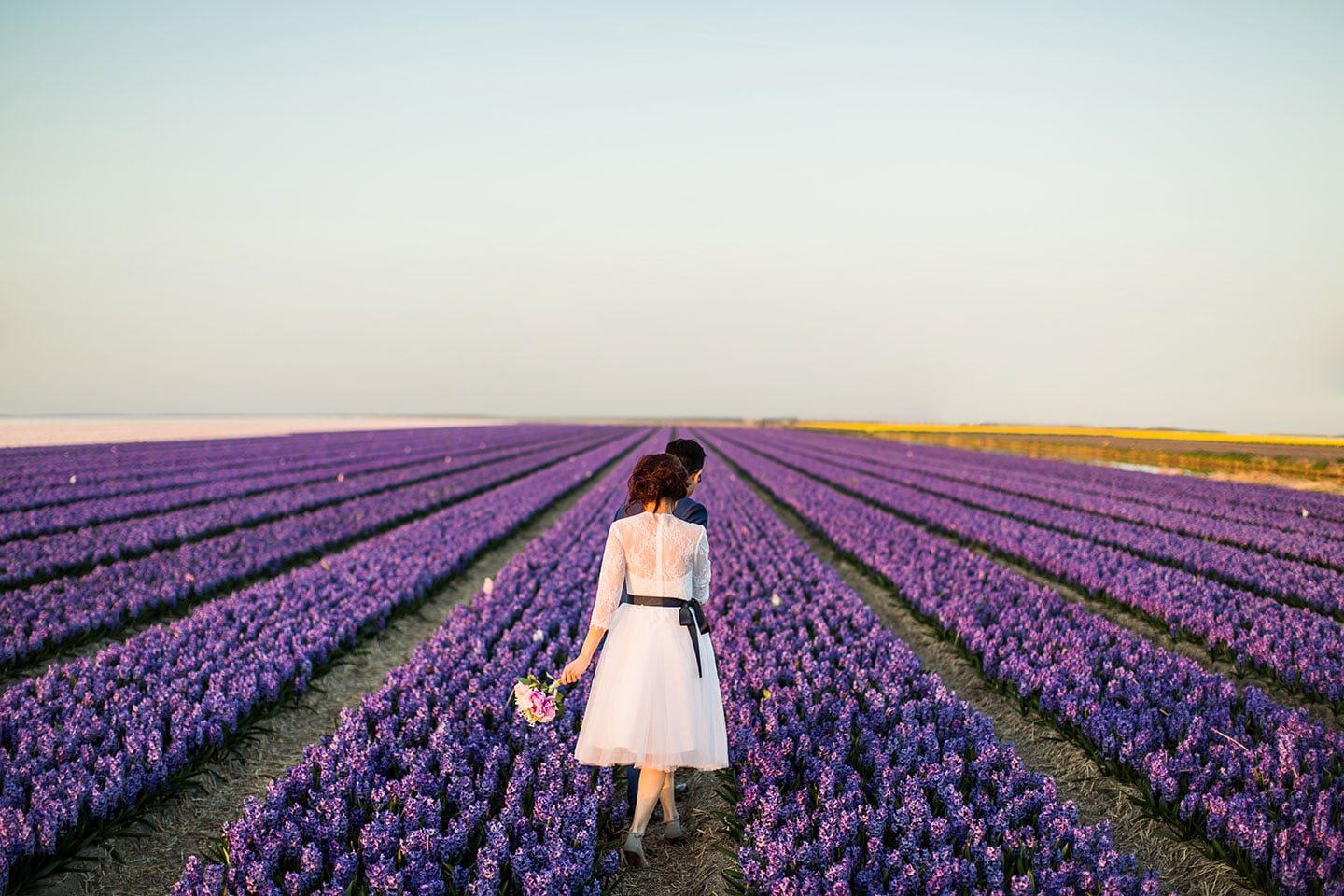 Overseas prewedding shoot in Europe in the tulip fields of the Netherlands