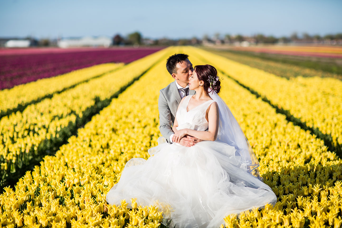 Prewedding shoot in the tulip fields of Amsterdam