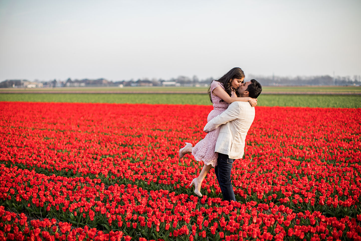 Indian pre wedding shoot in the tulip fields of the Netherlands