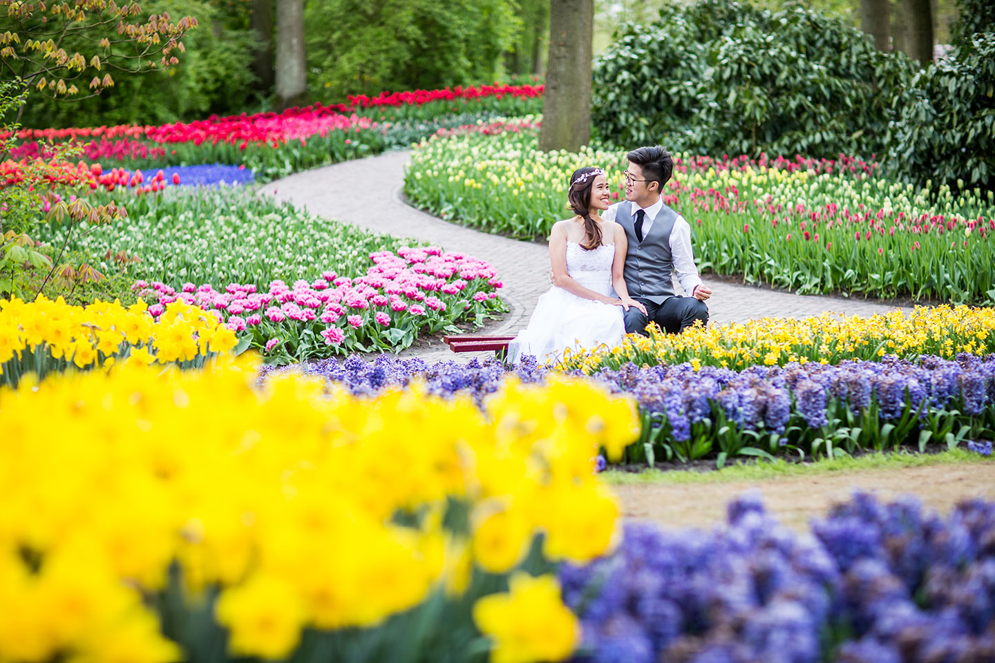 Tulip park in the Netherlands pre-wedding