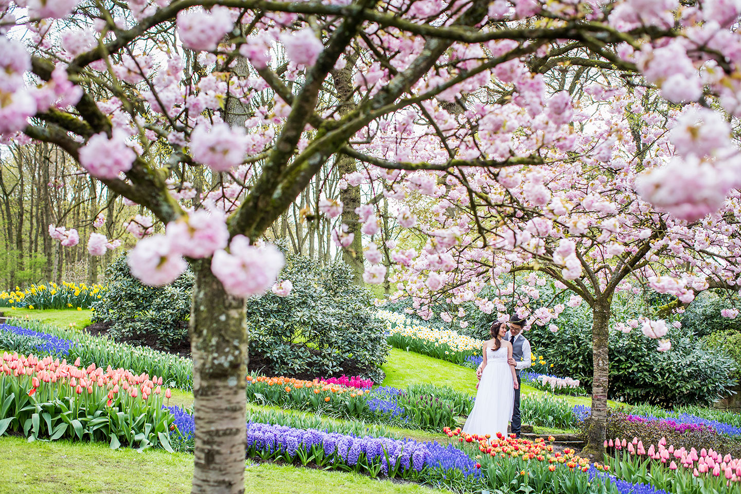 Cherry blossom pre-wedding Netherlands
