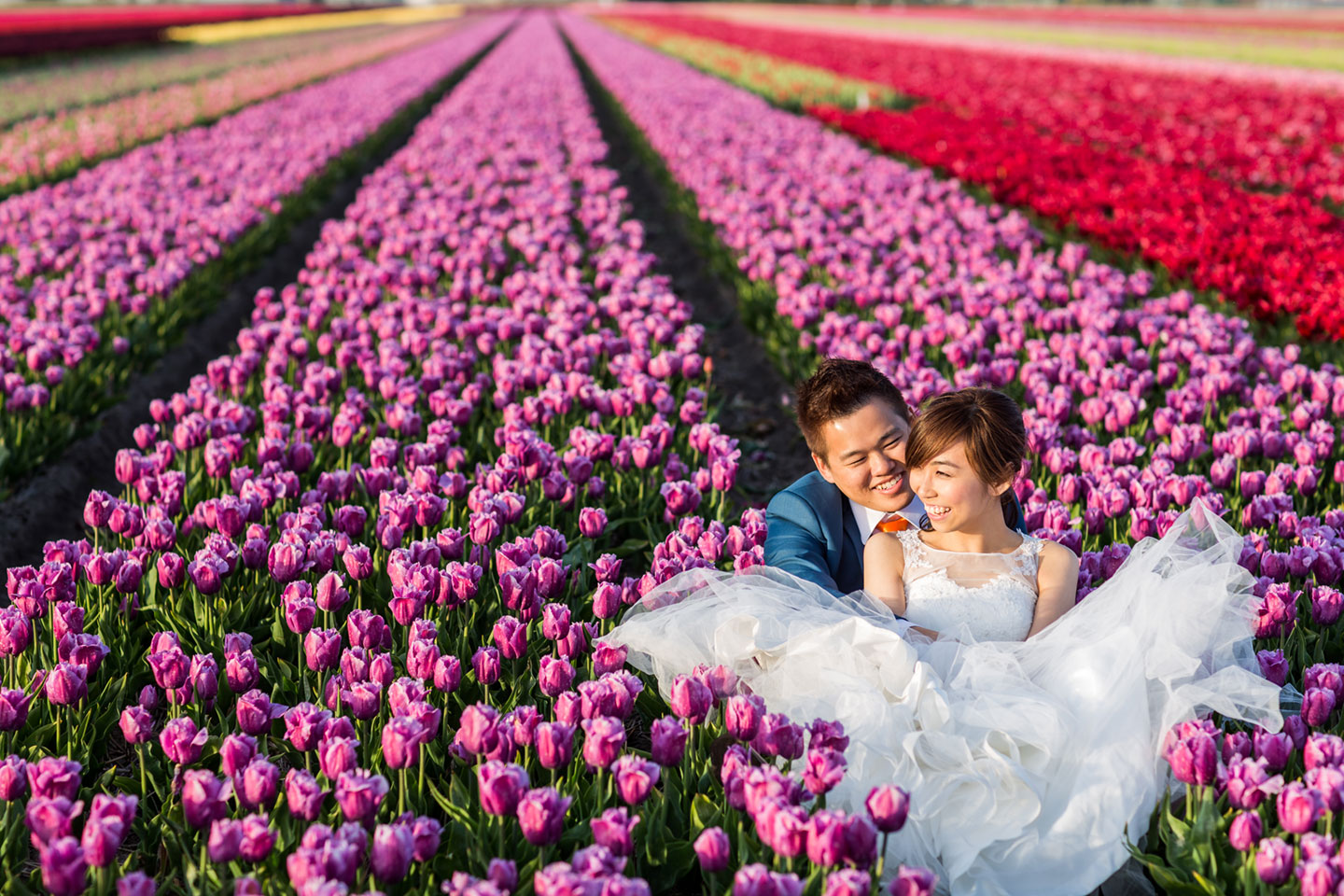 28-pre-wedding-photoshoot-tulips-Keukenhof