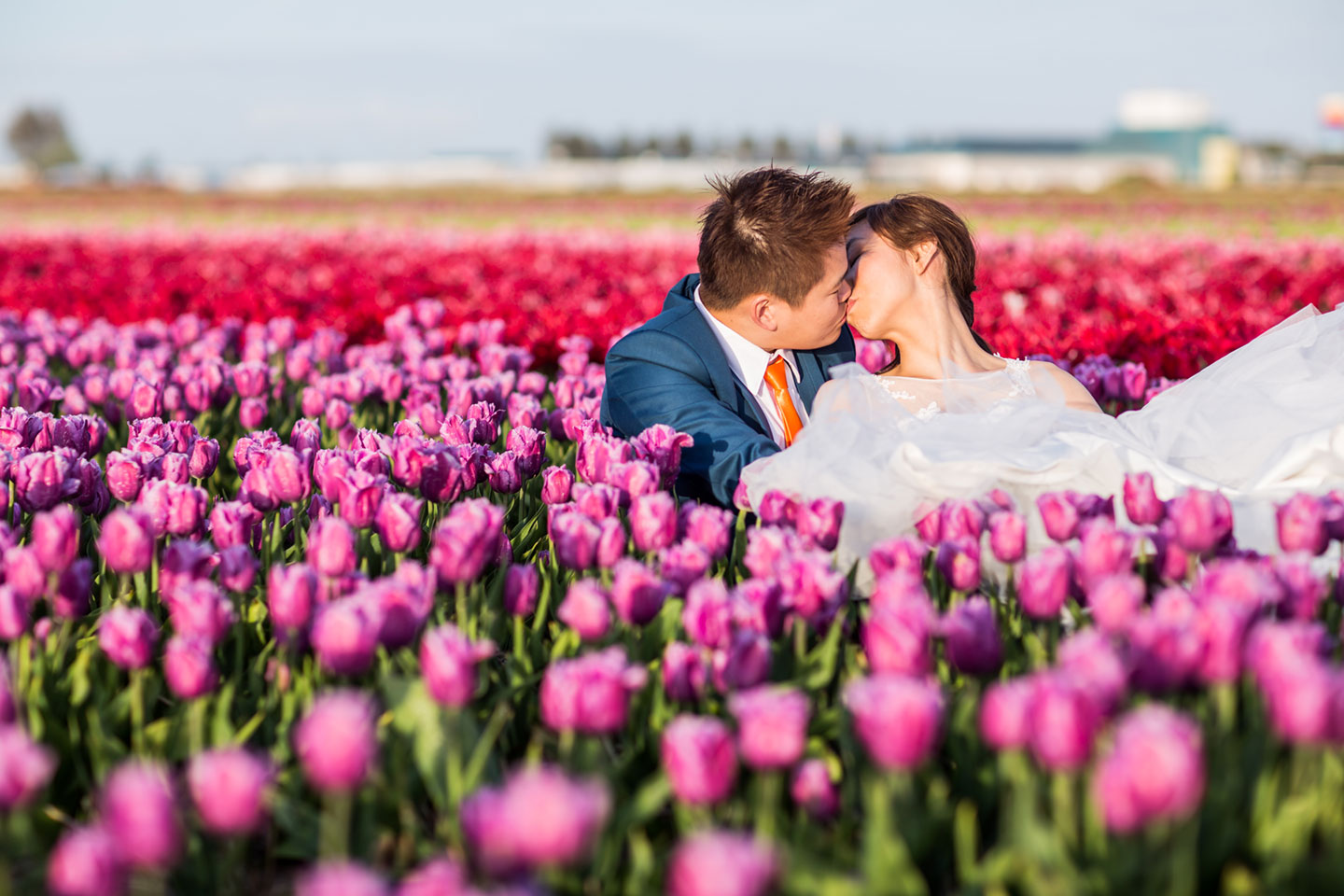 29-pre-wedding-photoshoot-tulips-Keukenhof