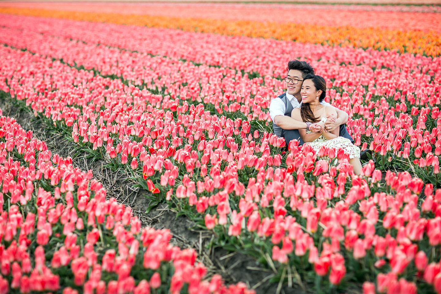Asian couple having fun during their prewedding shoot in the tulip fields of the Netherlands