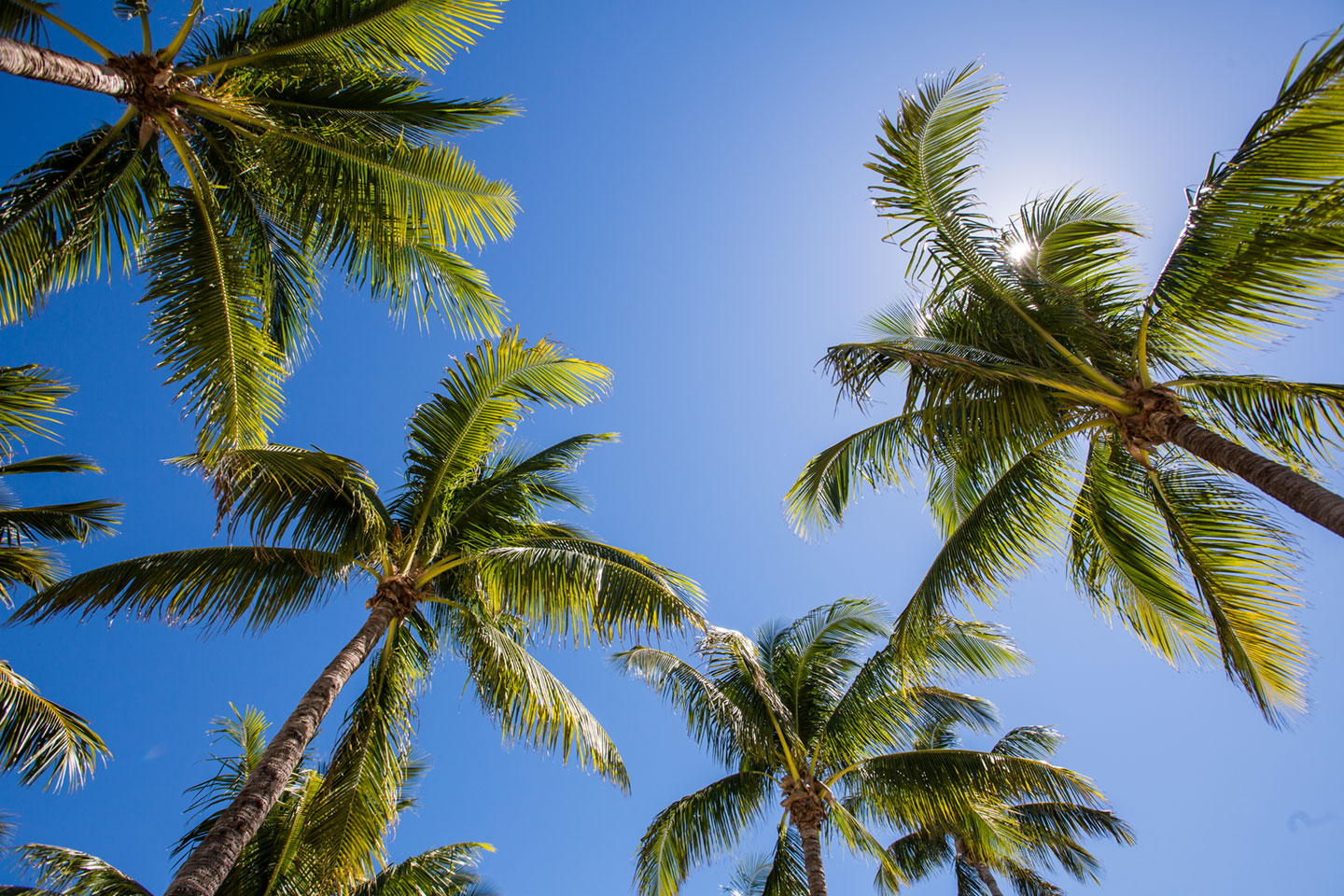 38-Coconut-Palm-Inn-Wedding-Photography