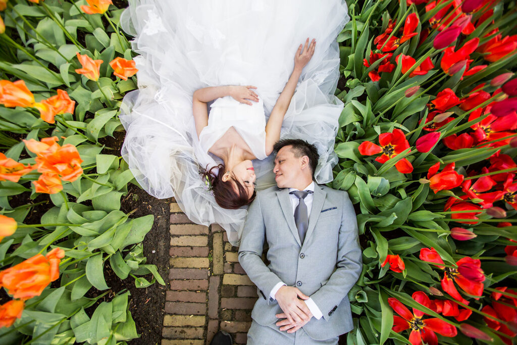 |Tulip gardens Holland prewedding shoot||||||Prewedding Zaanse Schans windmills||Prewedding Holland flower gardens|||||||||||||