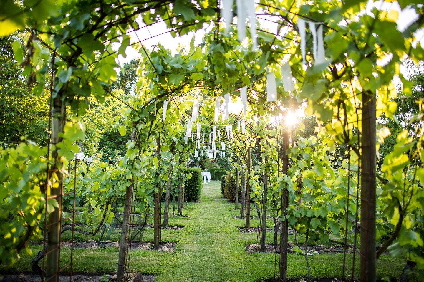 Outdoor wedding Breda